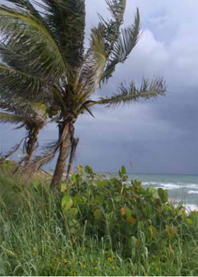 a storm approaches a beach